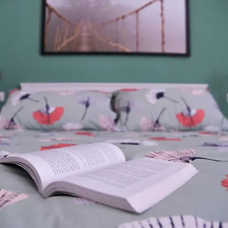 ゲストハウス Vatican Miro Holidays ローマ