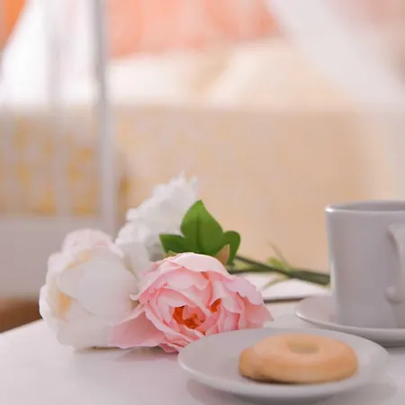 Vatican Miro Holidays ローマ