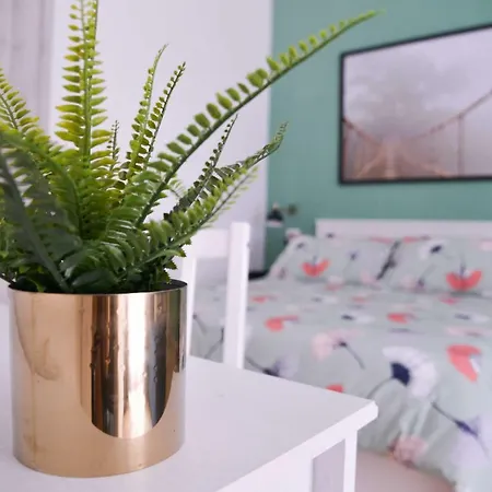 Vatican Miro Holidays