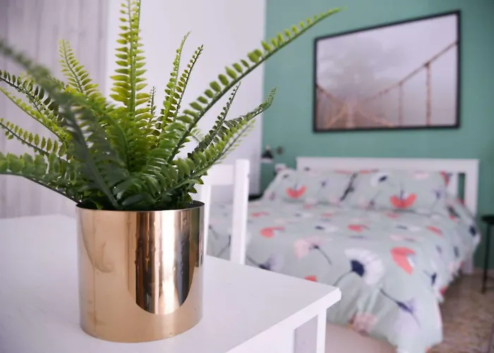 Vatican Miro Holidays