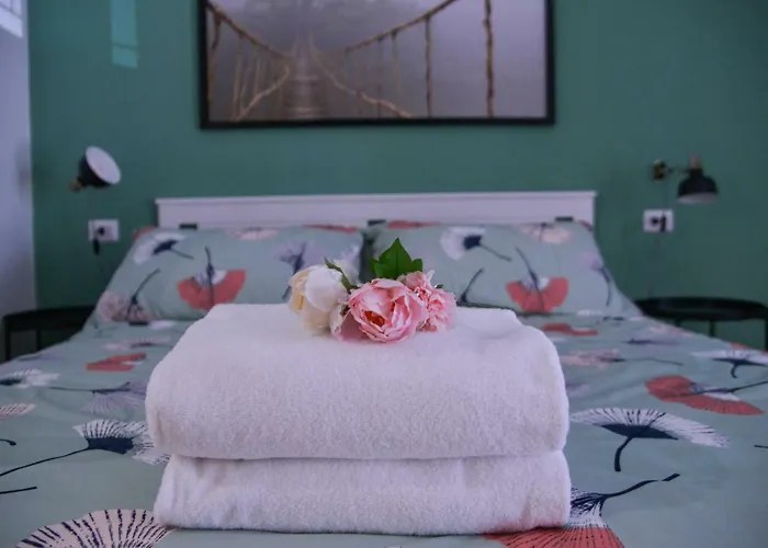 בית הארחה Vatican Miro Holidays רומא