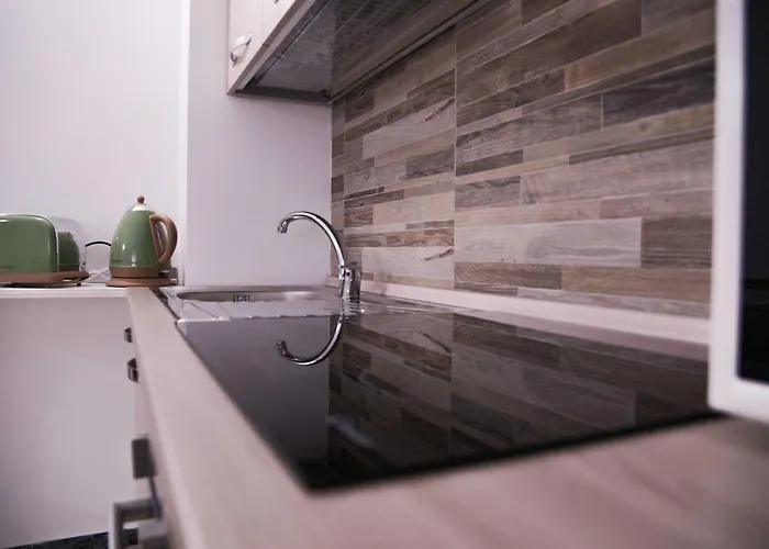 Vatican Miro Holidays בית הארחה רומא