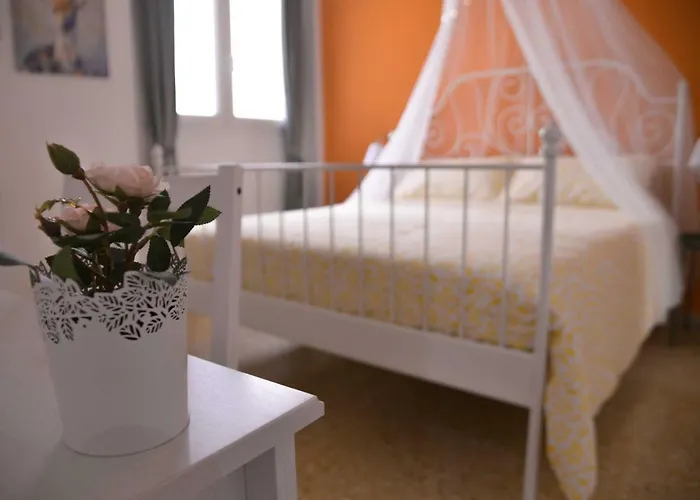 Vatican Miro Holidays